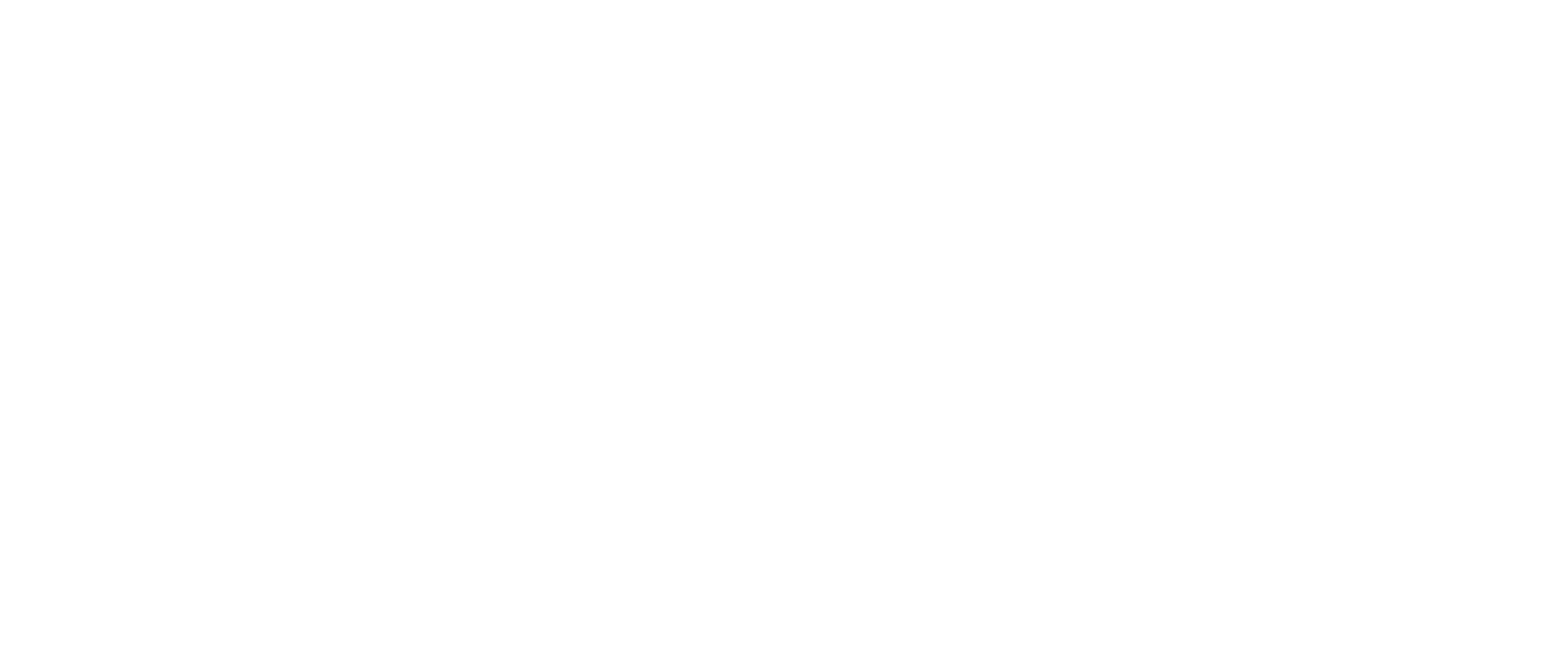 House of Saloon Logo